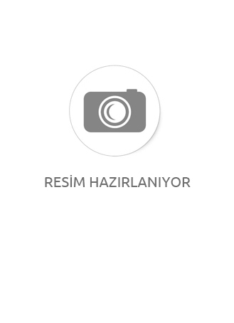 Lastik Jeli